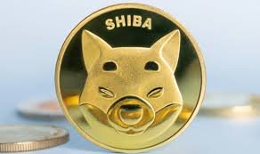 how to buy shiba inu coin